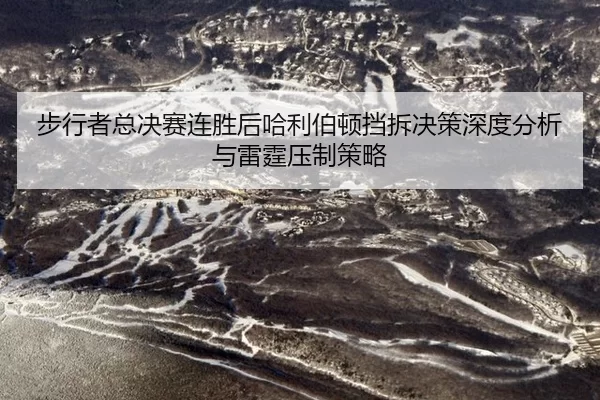 bu-xing-zhe-zong-jue-sai-lian-sheng-hou-ha-li-bo-dun-dang-chai-jue-ce-shen-du-fen-xi-yu-lei-ting-ya-zhi-ce-lve-2-566.jpg